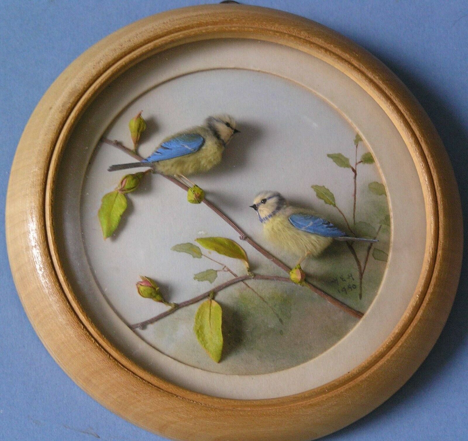 Bluetits (Version 4) (5-inch)